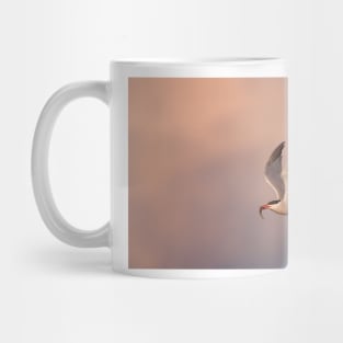 Common Tern with fish Mug